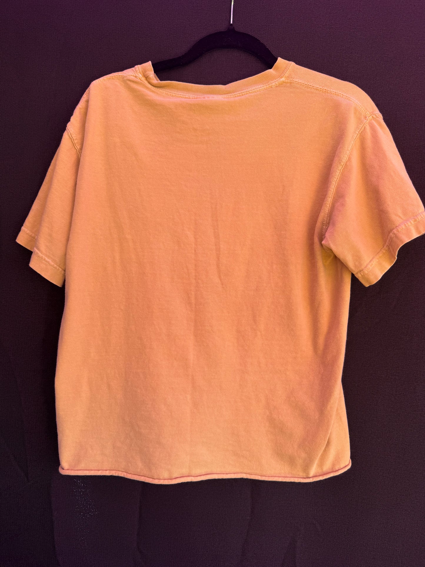 Carly Rae Jepsen Colorful Tee-- sz S