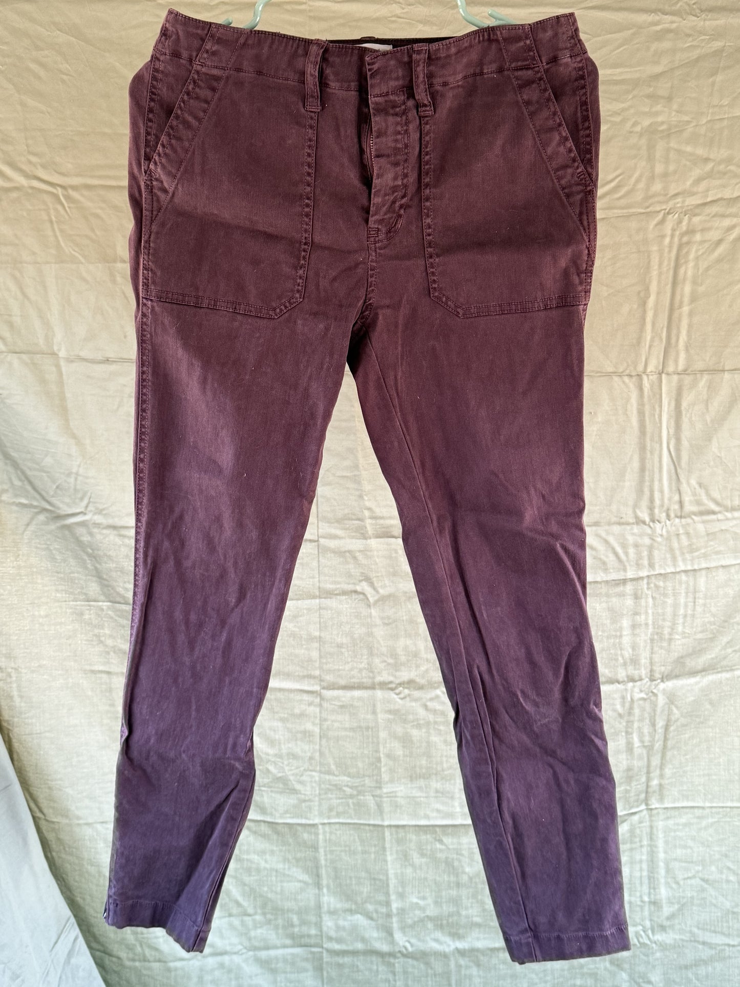 JCrew sz 28 Purple Skinny Pants